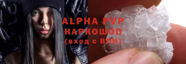 spice Богородск