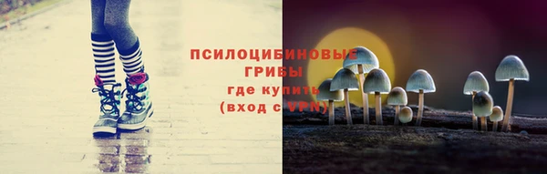 дживик Бугульма