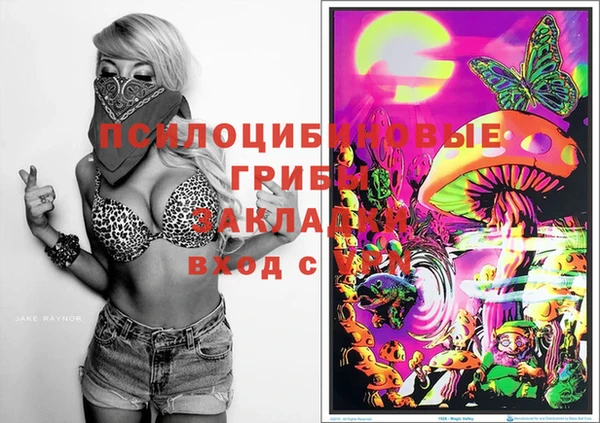 дживик Бугульма